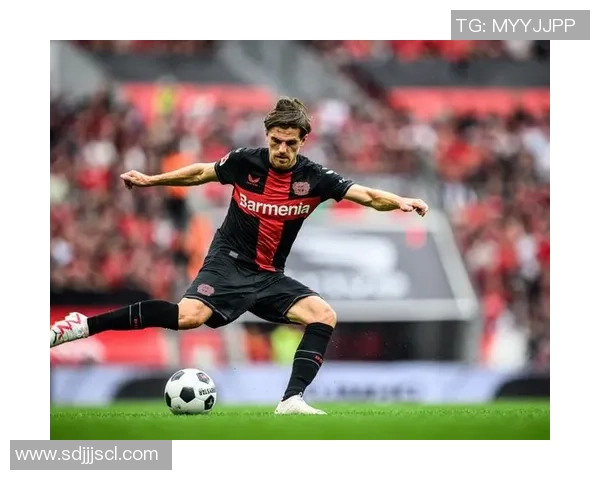 海德堡足球队历史与现役球星盘点及其传奇表现